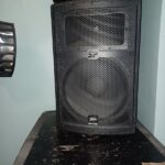 Peavey SP 2 Speakers Pro Audio pic 1